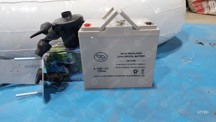 Бамперная лодочка "Животные" двухместная