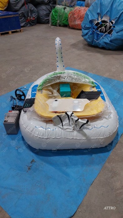 Бамперная лодочка "Животные" двухместная