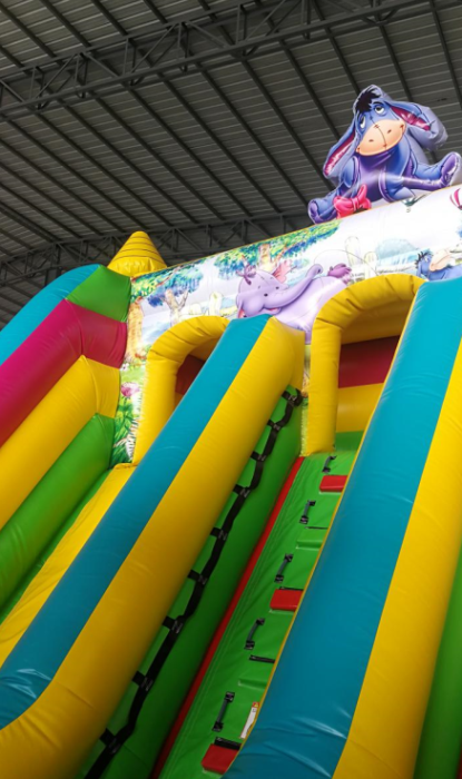 Надувной батут "Винни-Пух" 8*6*5,8 м