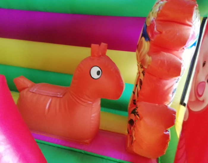 Надувной батут "Винни-Пух" 8*6*5,8 м