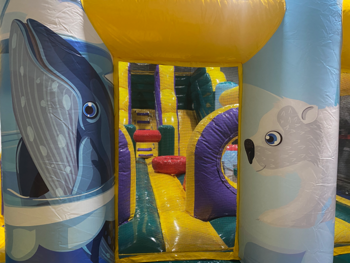 Надувной батут «Джуманджи»  10*5*3,5 м