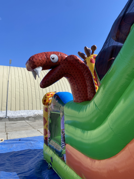 Надувная горка "Жираф и зебра" 8*7*6,3 м