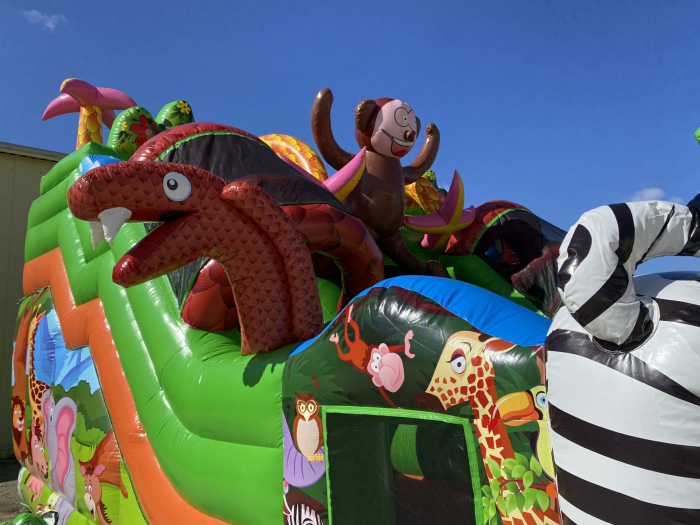 Надувная горка "Жираф и зебра" 8*7*6,3 м