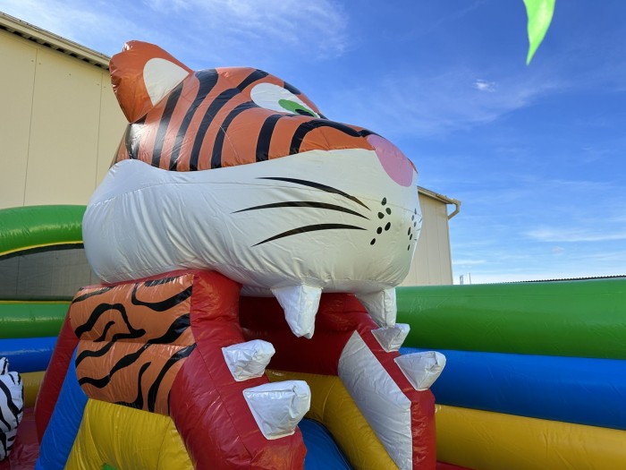 Надувная горка "Сафари джунгли" 8*6*4,6 м