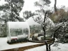 Прозрачная палатка ATTRO Bubble Tree
