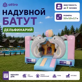Надувной батут "Дельфинарий" 3,5*3,5*2,7 м 
