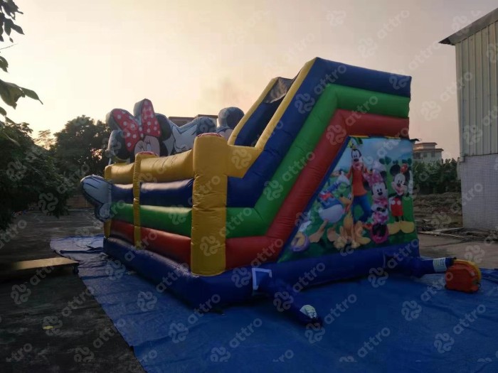 Надувной батут "Дисней" 6*5*4 м 