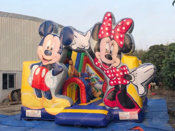 Надувной батут "Дисней" 6*5*4 м 