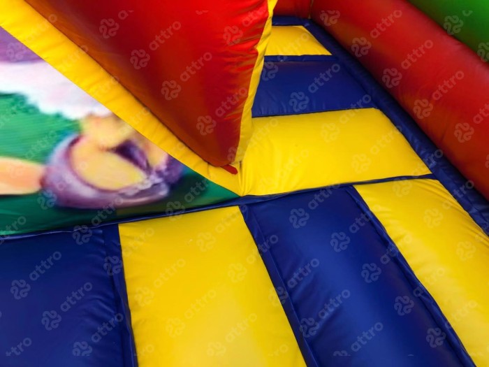 Надувной батут "Дисней" 6*5*4 м 