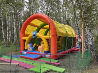 Надувной батут "Мультяшный мир" 9*6*5,5 м