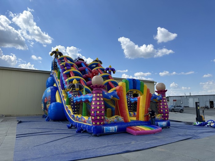 Надувная горка "Мега риф" 14*7*10 м