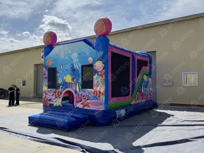 Надувной батут "Рентор аква" 5,5*4*4,5 м