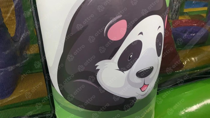 Надувной батут «Джуманджи» 10*6*4 м