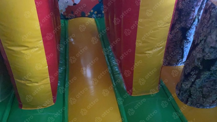 Надувной батут «Джуманджи» 10*6*4 м