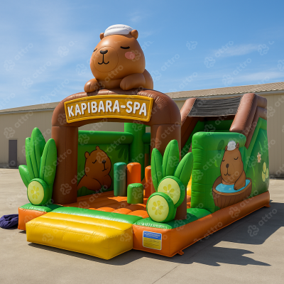Проект надувного батута «Капибара-спа»