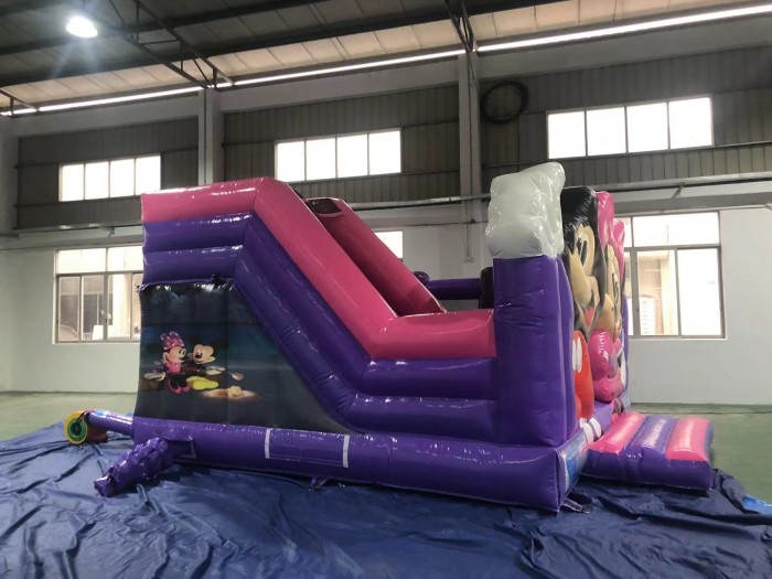 Надувная горка "Майкл и Минерва" 5*5*3,2м