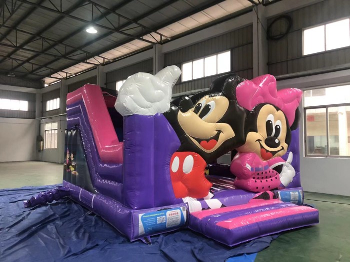 Надувная горка "Майкл и Минерва" 5*5*3,2м