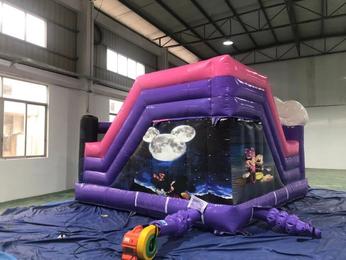 Надувная горка "Майкл и Минерва" 5*5*3,2м