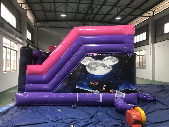 Надувная горка "Майкл и Минерва" 5*5*3,2м