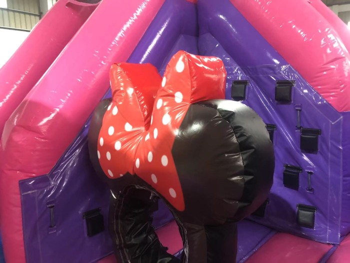 Надувная горка "Майкл и Минерва" 5*5*3,2м