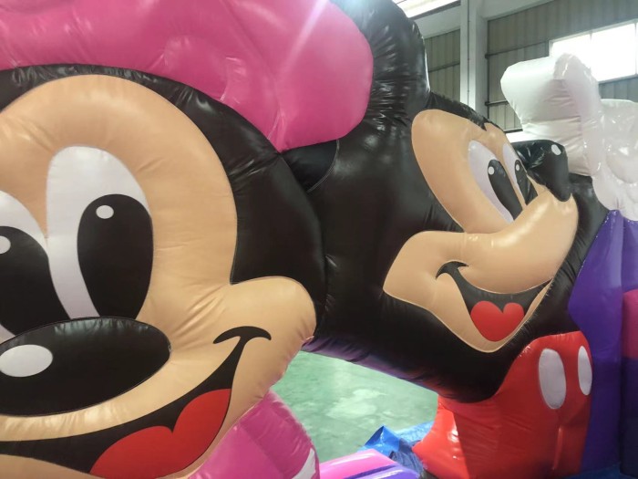 Надувная горка "Майкл и Минерва" 5*5*3,2м